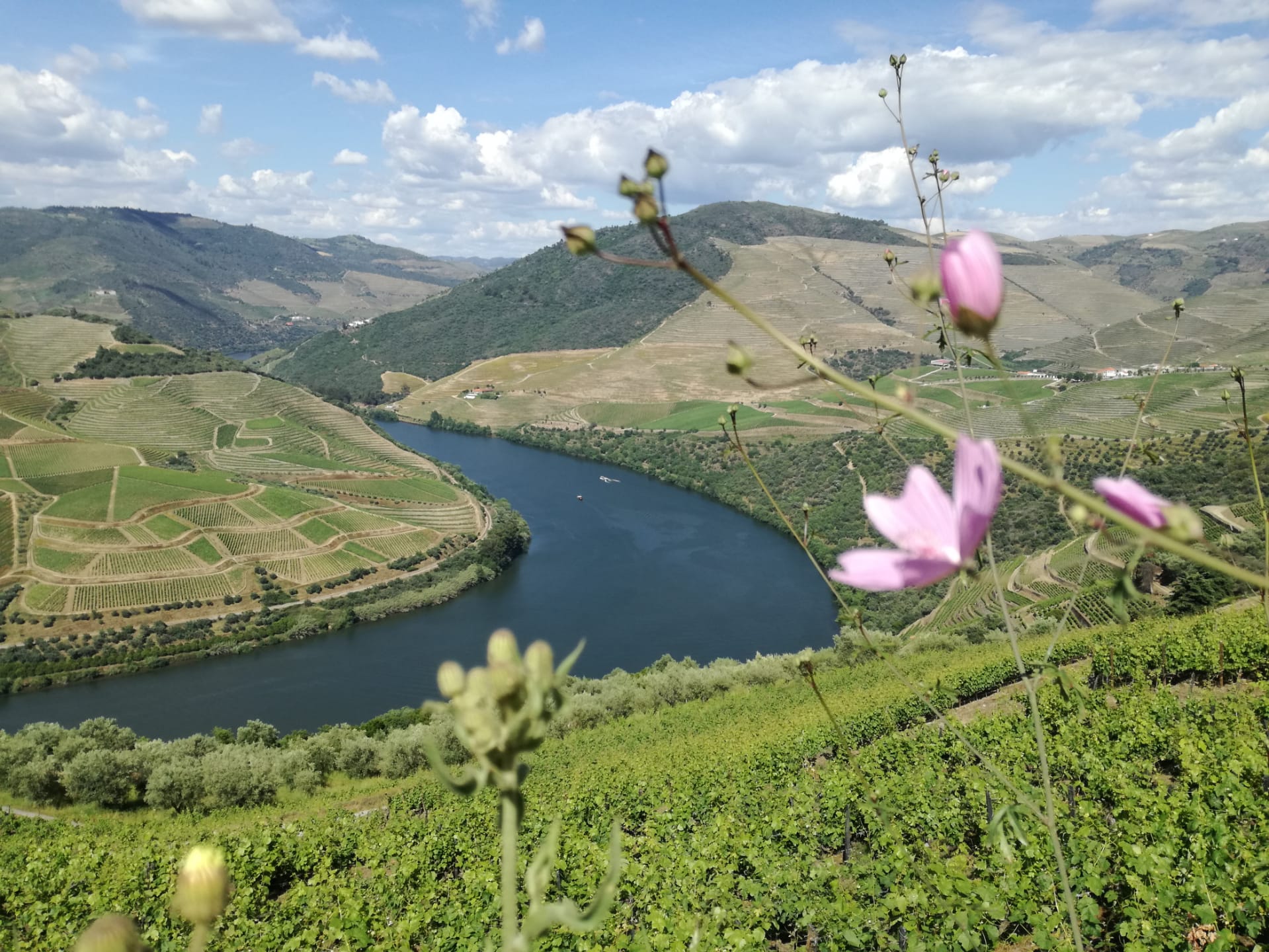 Douro Valley wine region cultural landscape