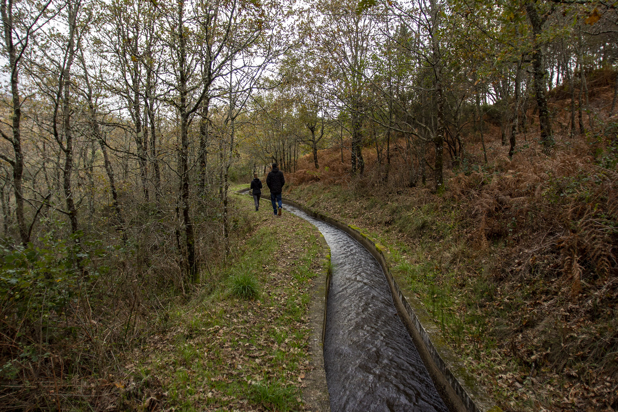 Northern Pathways curated travel experiences in Northern Portugal