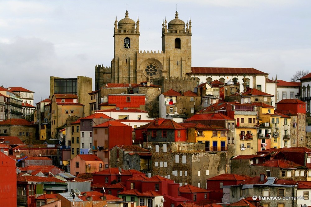 Porto private cultural experience with Northern Pathways