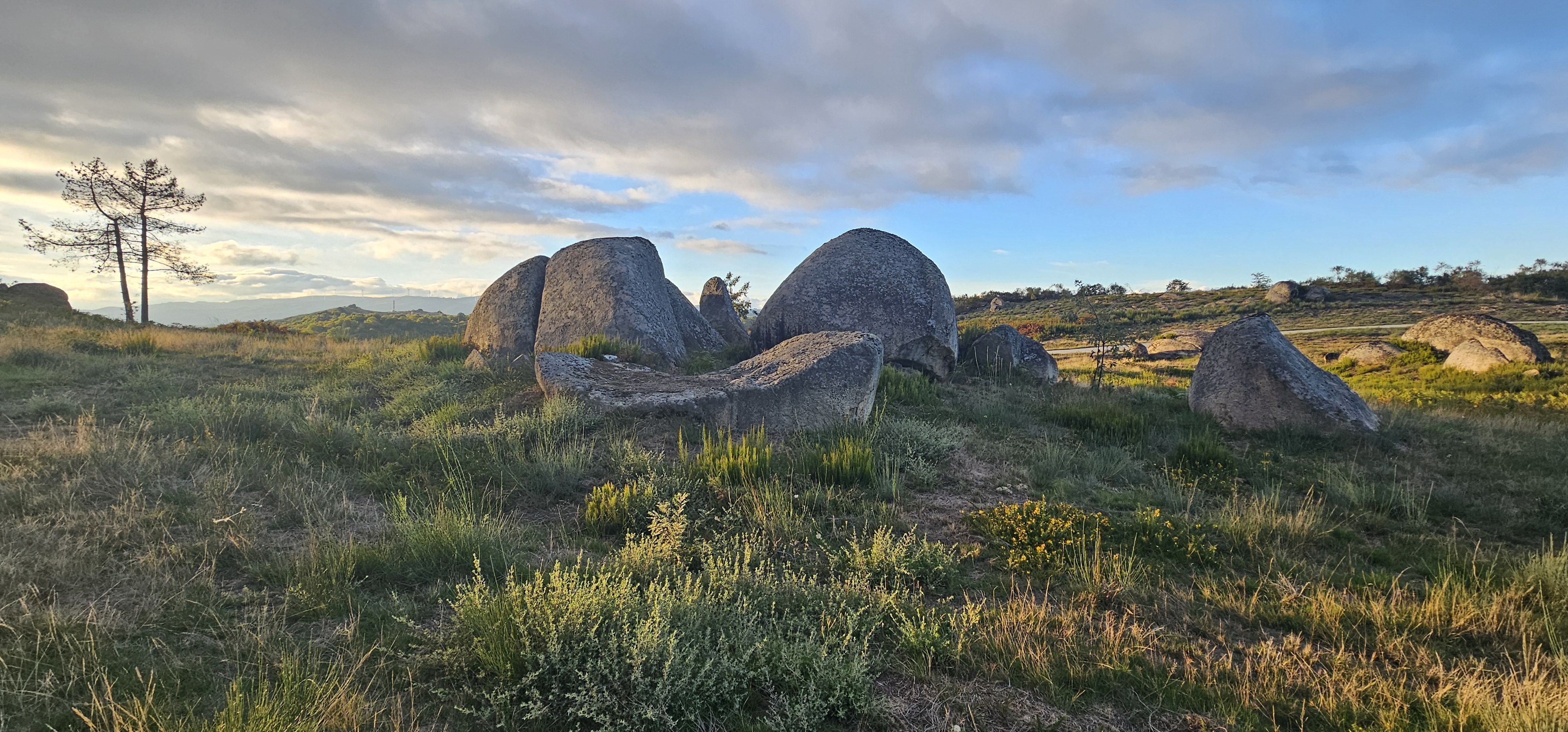 Authentic small group tour in Northern Portugal countryside