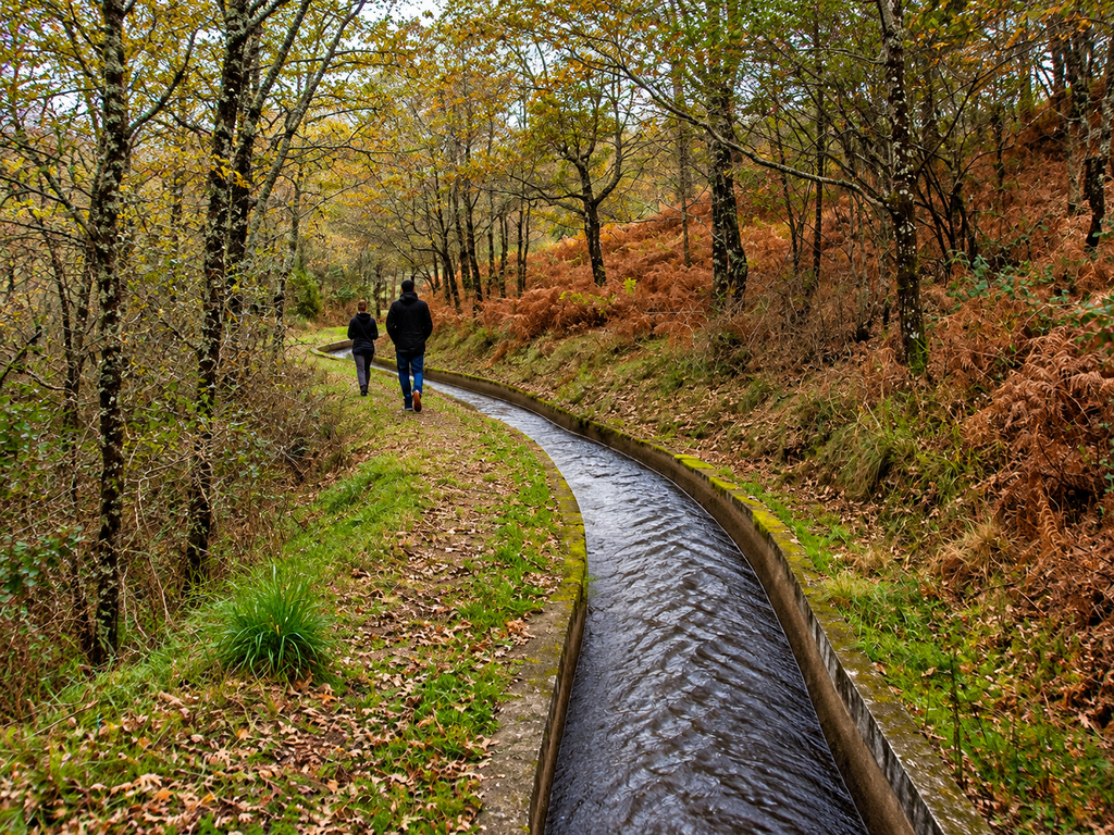 Peaceful nature walk in Northern Portugal, surrounded by lush green landscapes, inviting mindfulness, relaxation and reconnection with nature